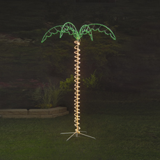 palm tree